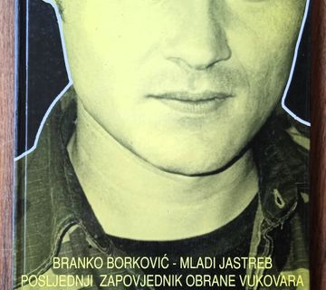 RUŠITELJ USTAVNOG PORETKA Branko Borković MLADI JASTREB DOMOVINSKI RAT - cover
