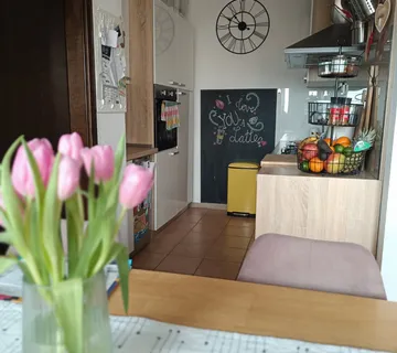 Namješten stan - Osijek - Novi grad (50m2) - cover