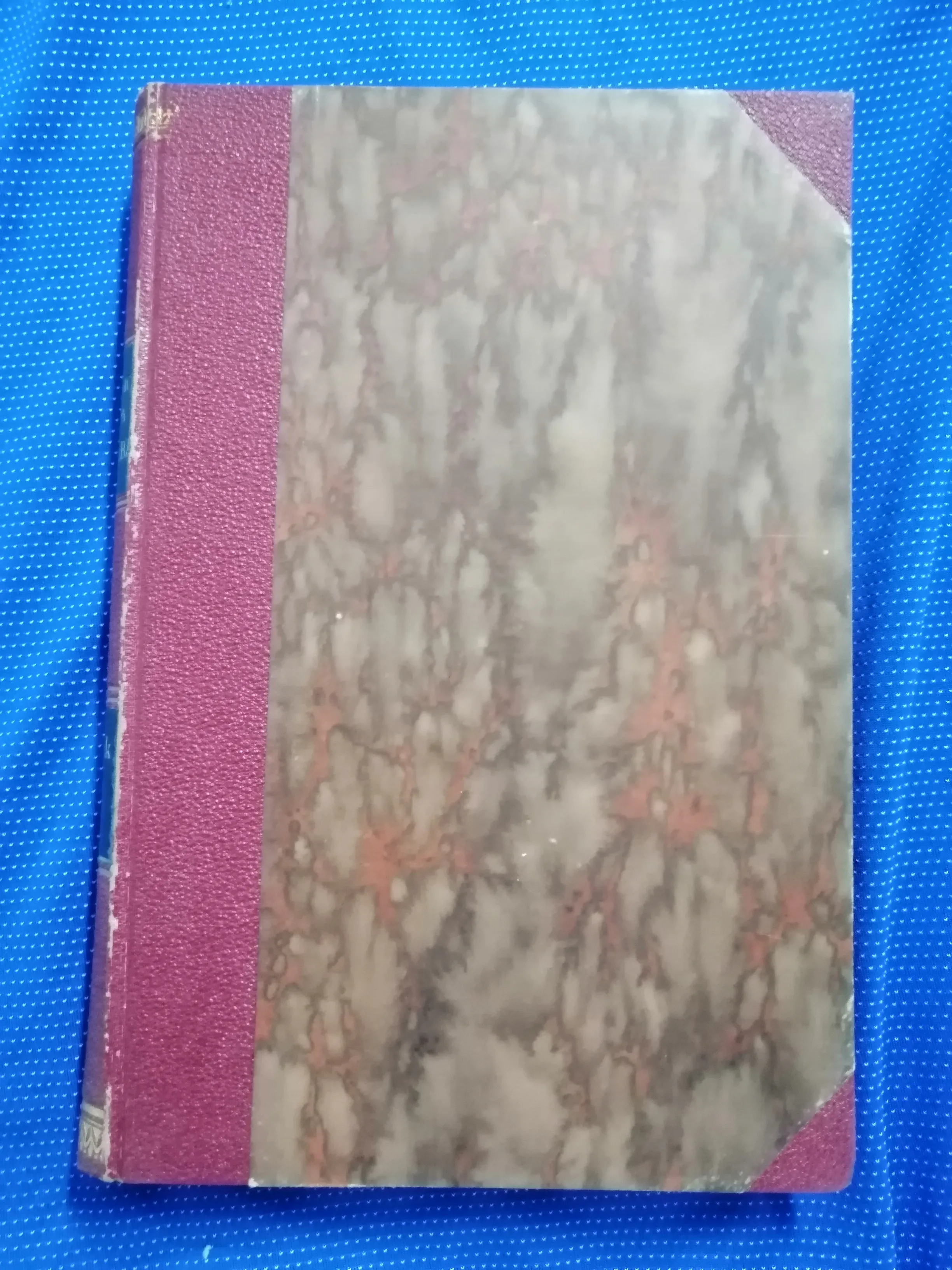 Povijesni spomenici slobodnoga kraljevskoga grada Zagreba 8 (Z19) - cover