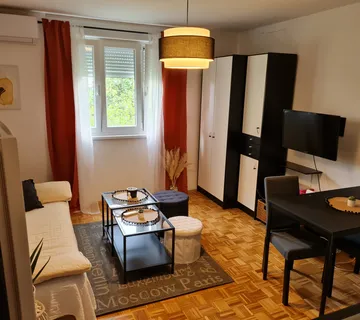 Iznajmljujem garsonjeru - cover