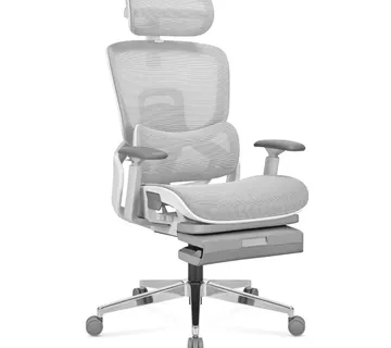 Ergonomska stolica Mark Adler Expert 9.3 - Pribislavec