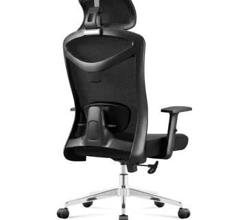 Ergonomska uredska stolica Manager 2.6 crna - Pribislavec