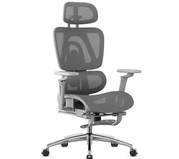 Ergonomska uredska stolica Expert 7.9 siva - Pribislavec