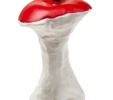 Tullo jezgra jabuke grickalica za pse 12cm - Pribislavec