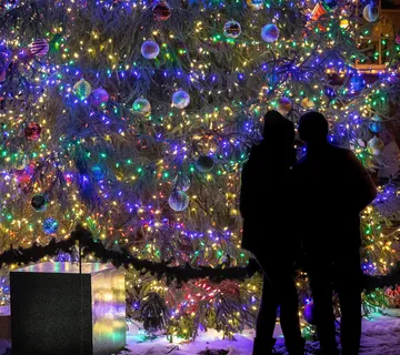 Svjetla za božićno drvce 300 LED dioda, šarena - Pribislavec