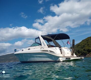 Sea Ray 340 sundancer dizel - cover