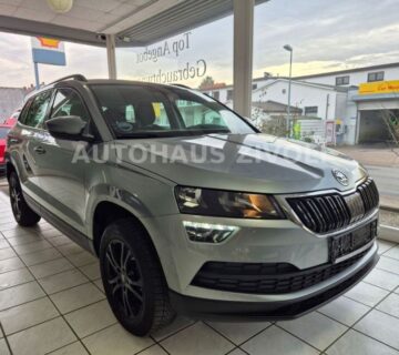 Škoda Karoq 1,0 svojim kamionima uvozimo - do registracije - cover