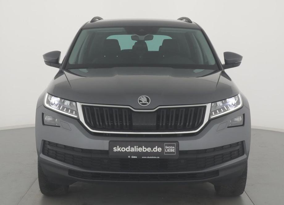 skoda-kodiaq-2.0-svojim-kamionima-uvozimo-registracije-slika-214154183