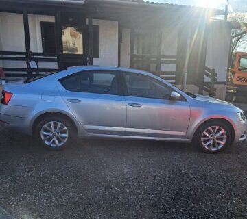 Škoda Octavia 1,6 TDI 115ks Klima Tempomat Park.pilot - cover