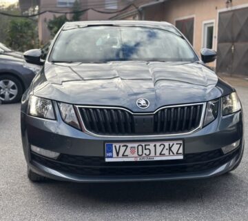 Škoda Octavia 1,6 TDI - cover