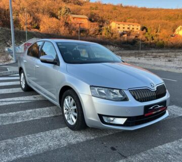 Škoda Octavia 1,6 TDI - cover