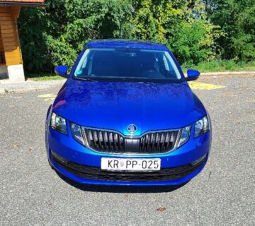 Škoda Octavia 1,6 TDI DSG,DRIVE,NOVI MODEL,TOP STANJE - cover