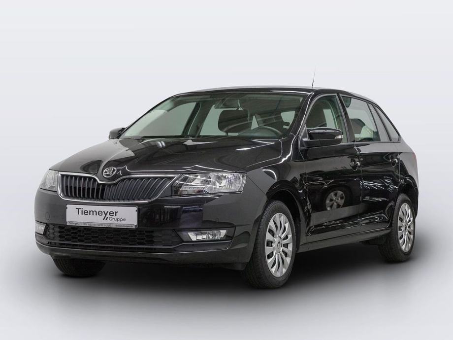 skoda-rapid-1.0-tsi-svojim-kamionima-uvozimo-narudzbi-slika-216465966