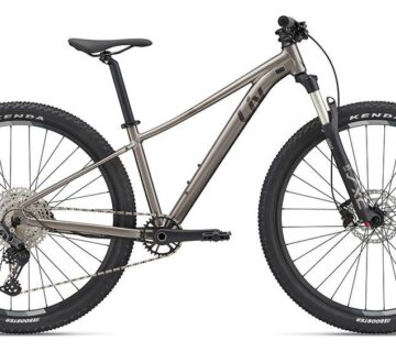 BICIKL GIANT LIV Tempt 29 0 - cover