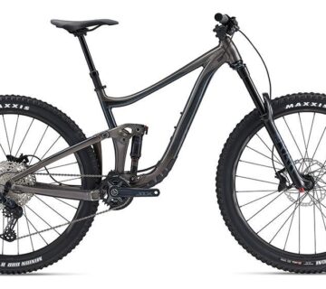 BICIKL GIANT Reign 29 - cover