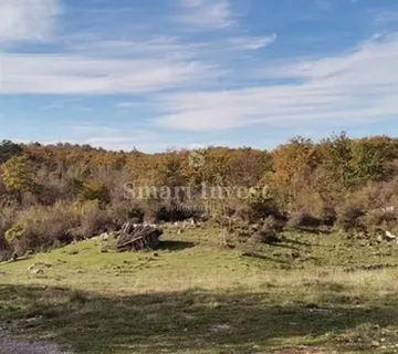 BREZA - KLANA, građevinsko zemljište od 11797 m2 - cover
