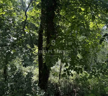 MATULJI, 2 zemljišta za poslovno-stambenu gradnju