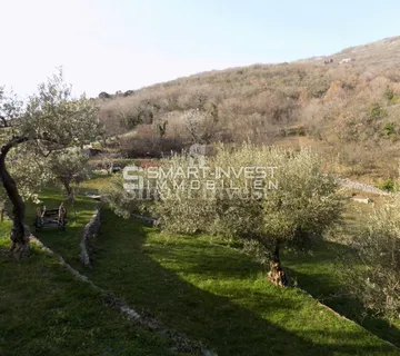 BRSEČ OKOLICA, građevinsko zemljište i maslinik na mirnoj lokaciji! - cover