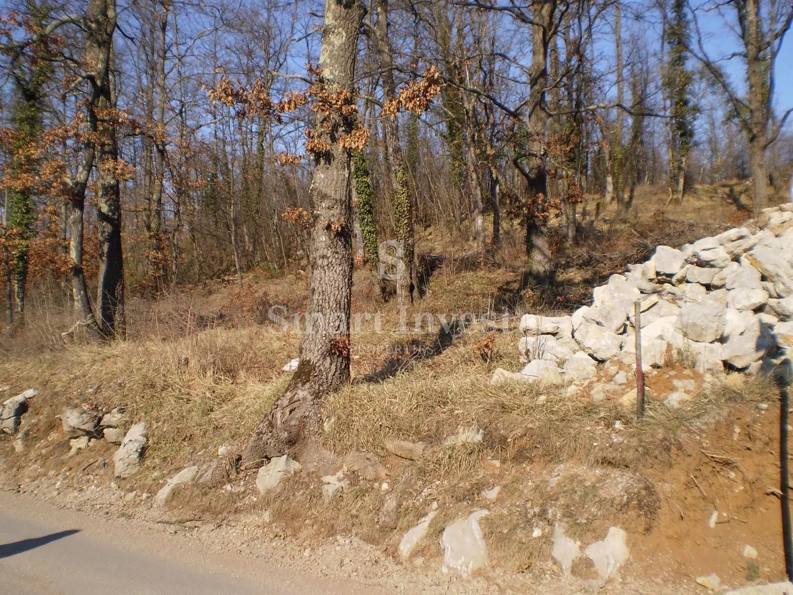 Fotografija