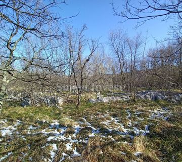 LUPOGLAV, građevinski teren u Industrijskoj zoni od 15.000 m2 - cover