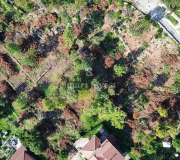 OPATIJA, prekrasan teren od 5591 m2 , EKSKLUZIVNO SAMO KOD NAS - cover