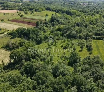 VIŠNJAN - ŽUŽIĆI, poljoprivredno zemljište od 5694 m2 - cover
