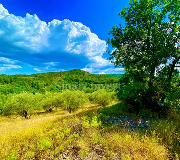 ISTRA - CEROVLJE, građevinsko zemljište sa starinama za obnovu - cover