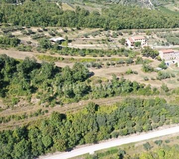 BUJE - MOMJAN, starina sa zemljištem površine 16.691 m2  - cover