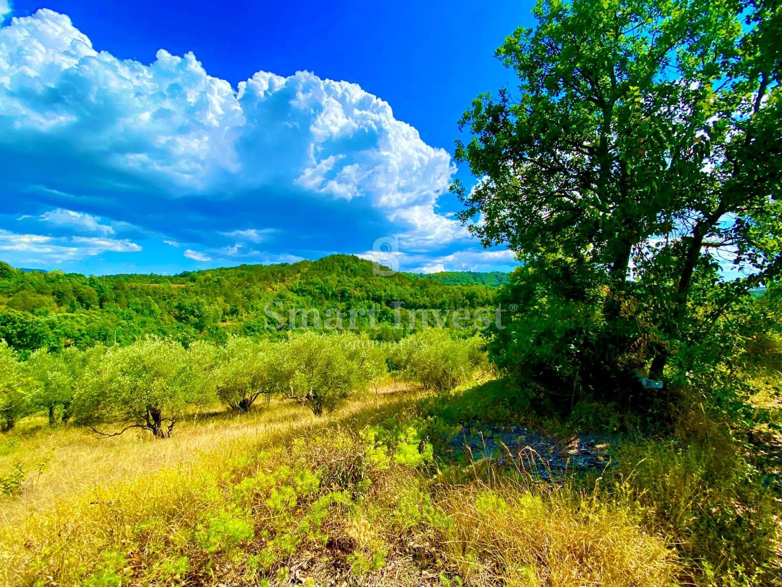 Fotografija