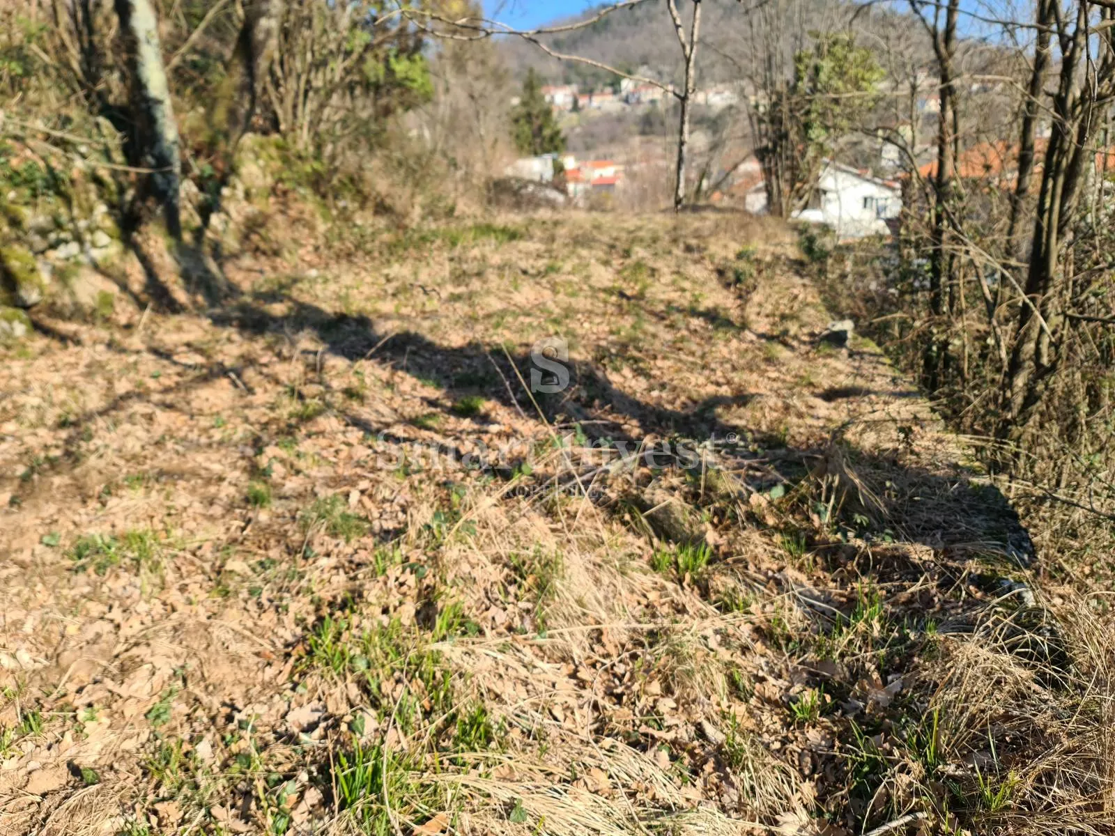 Fotografija