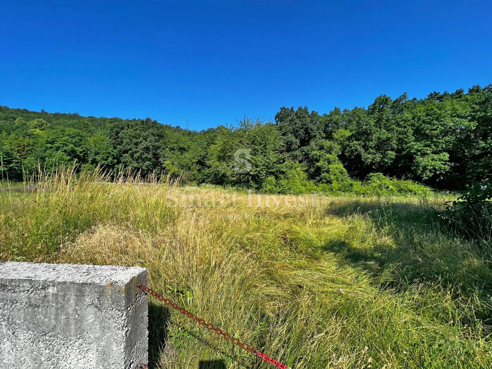 Fotografija