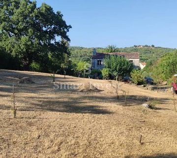 RABAC - ISTRA, IMANJE 27800 M2 S KAMENOM KUĆOM SAMO 4 KM OD MORA! - cover