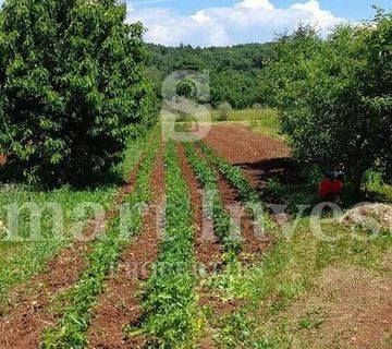 RABAC - ISTRA, IMANJE 27800 M2 S KAMENOM KUĆOM SAMO 4 KM OD MORA! - cover