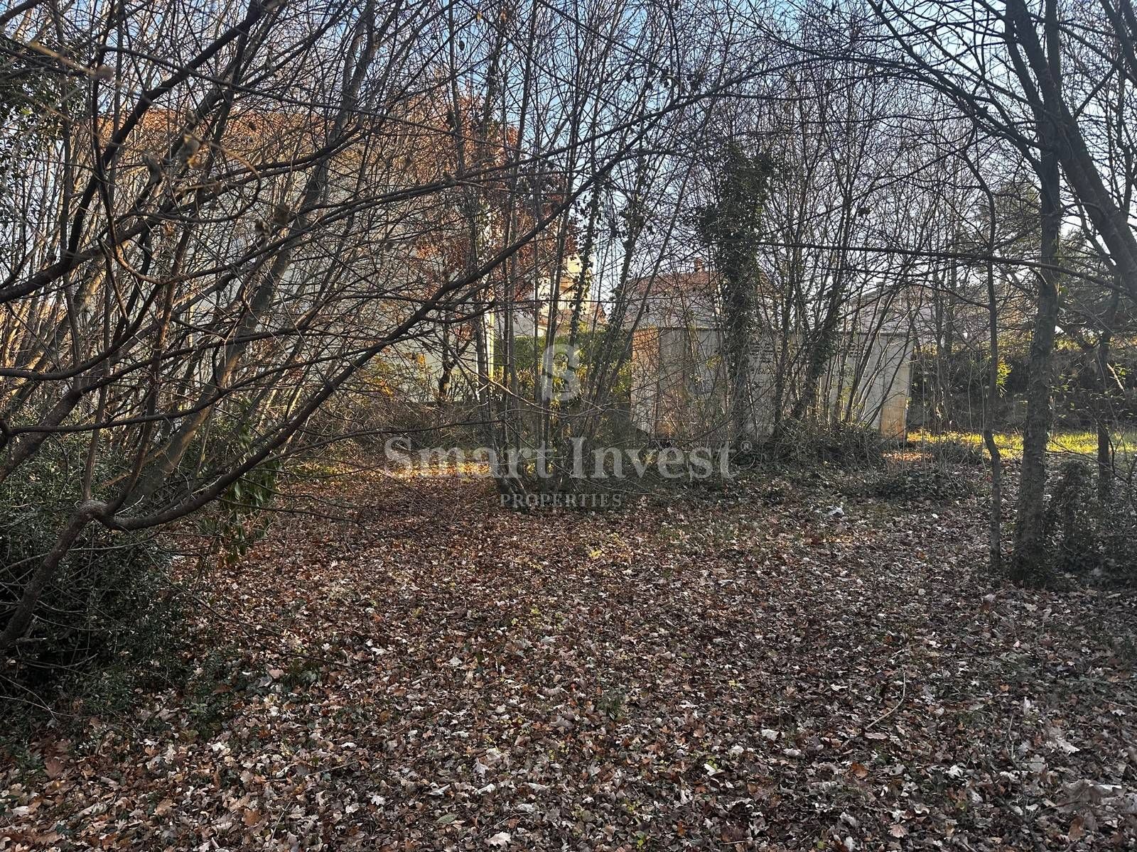 Fotografija