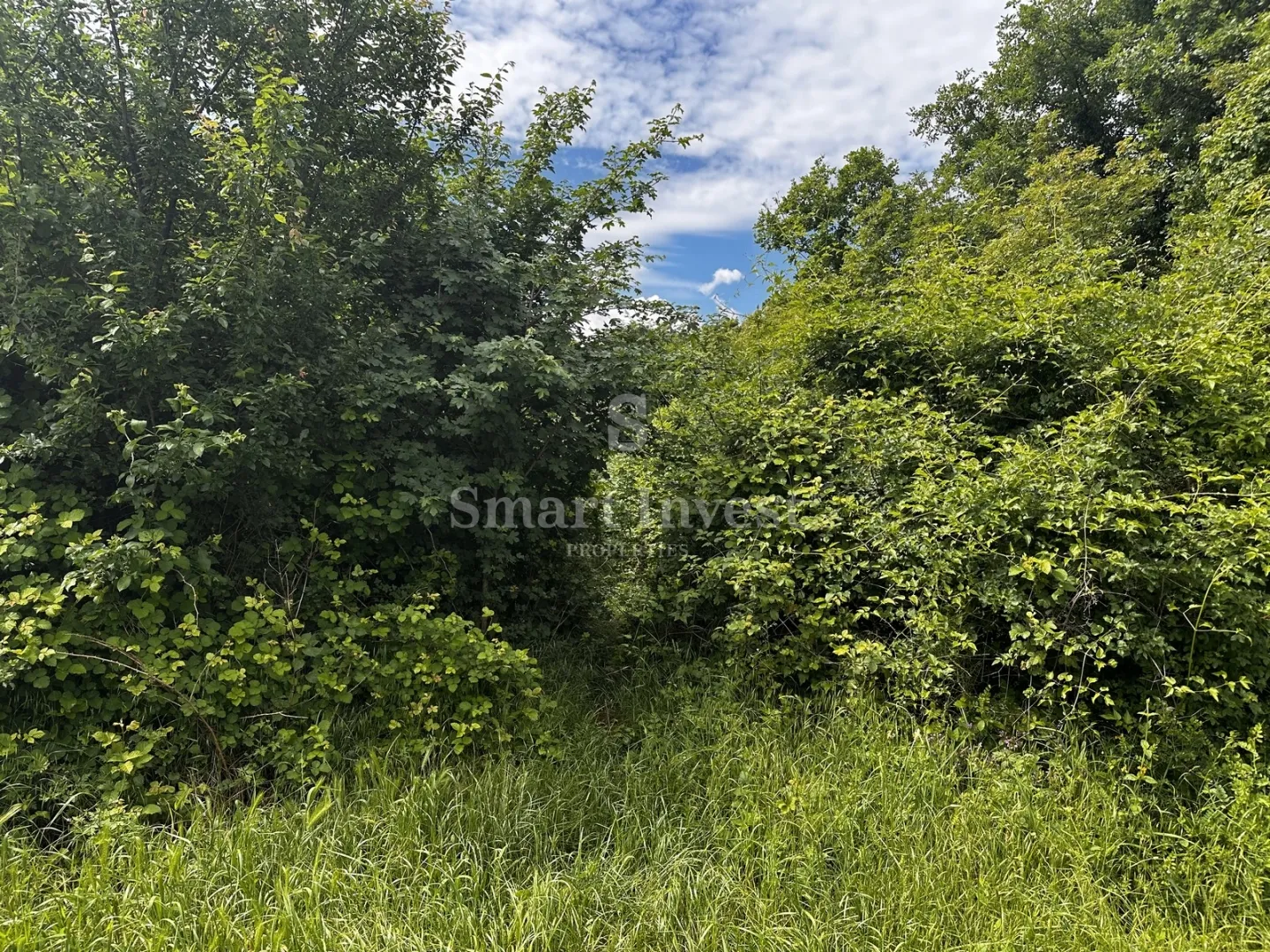 MATULJI - OKOLICA CENTRA, građevinsko zemljište     - cover