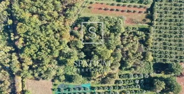 Fotografija
