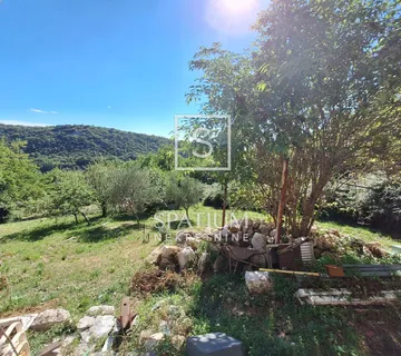 SUŠAČKA DRAGA, STARINA U ZELENILU - cover