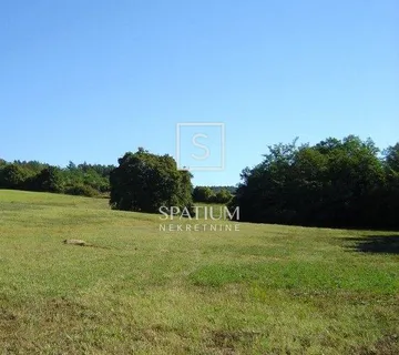 MOTOVUN, ZEMLJIŠTE 16.637 m2 - Novaki Motovunski, Karojba