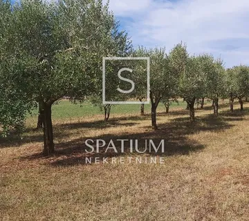 MARČANA, POLJOPRIVREDNO IMANJE - cover