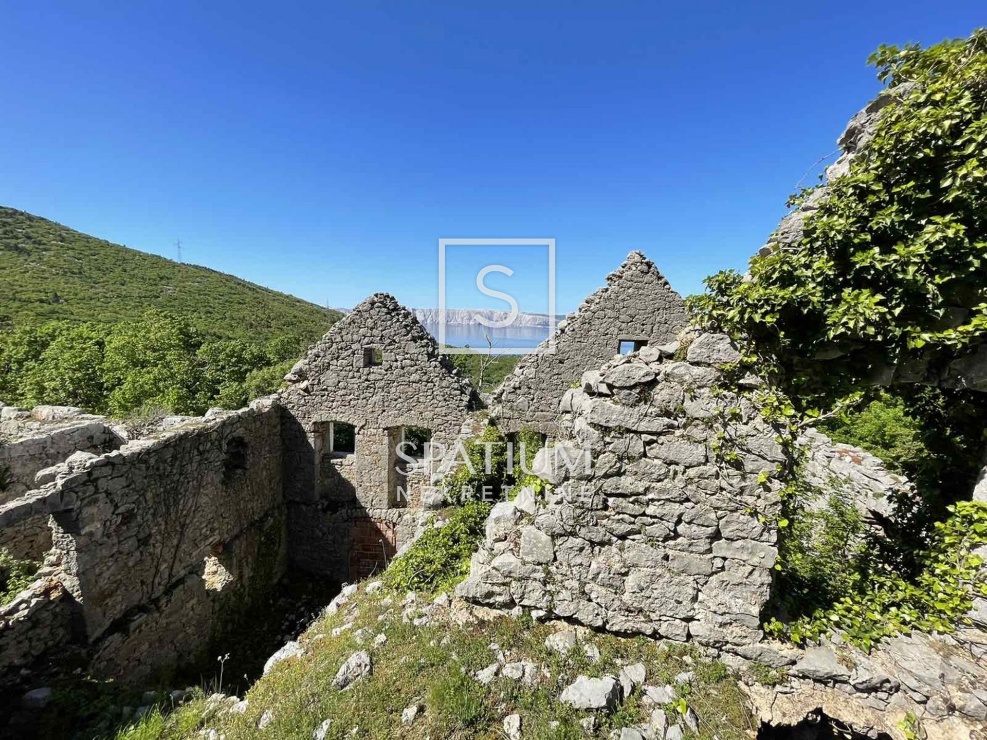 Fotografija