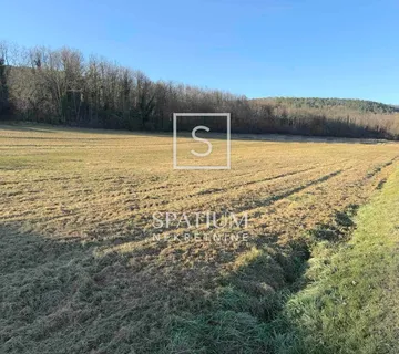 PAZIN, GRAĐEVINSKO ZEMLJIŠTE  - cover