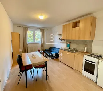 DONJA DRENOVA, JEDNOSOBAN STAN U PRIZEMLJU - cover