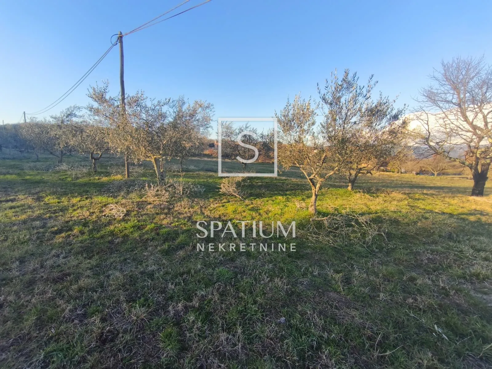 MOTOVUN, POLJOPRIVREDNO ZEMLJIŠTE 14.490 M2 - cover