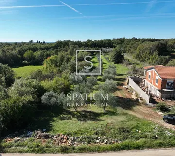 MARČANA, OKOLICA, GRAĐEVINSKO ZEMLJIŠTE OKRUŽENO MASLINAMA - cover