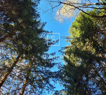 MAŠEVO, VINODOLSKA OPĆINA, ŠUMSKI TEREN 8094 m2  - cover