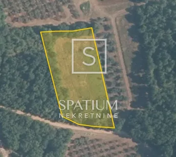 BRTONIGLA, POLJOPRIVREDNO ZEMLJIŠTE POGODONO ZA SADNJU MASLINA - cover