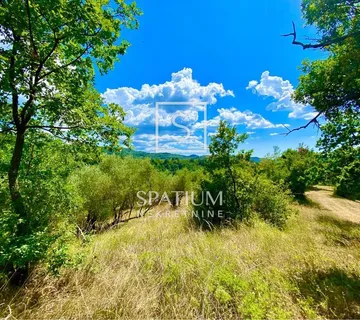 ISTRA, OSLIĆI, GRAĐEVINSKO ZEMLJIŠTE S JEDINSTVENIM POGLEDOM - cover