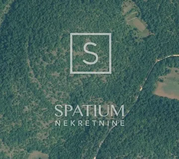 BALE, OKOLICA, PROSTRANA ŠUMA NA BREŽULJKU - cover