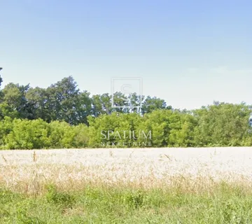 BARBAN, GRAĐEVINSKI TEREN - cover