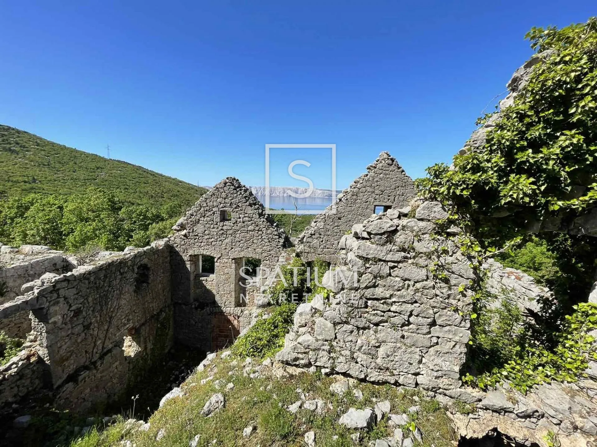 DRINAK, AUTOHTONA STARA KAMENA KUĆA NA PROSTRANOJ PARCELI - cover